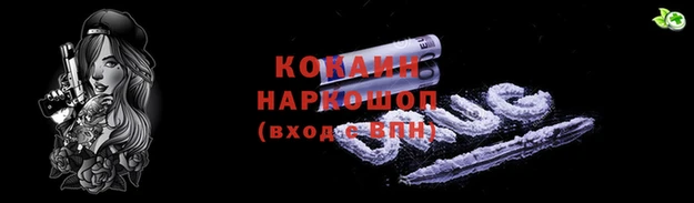 амф Новокубанск