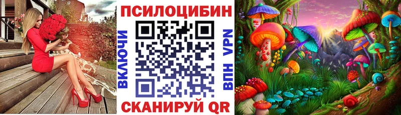 Купить  Чапаевск  Галлюциногенные грибы Cubensis 